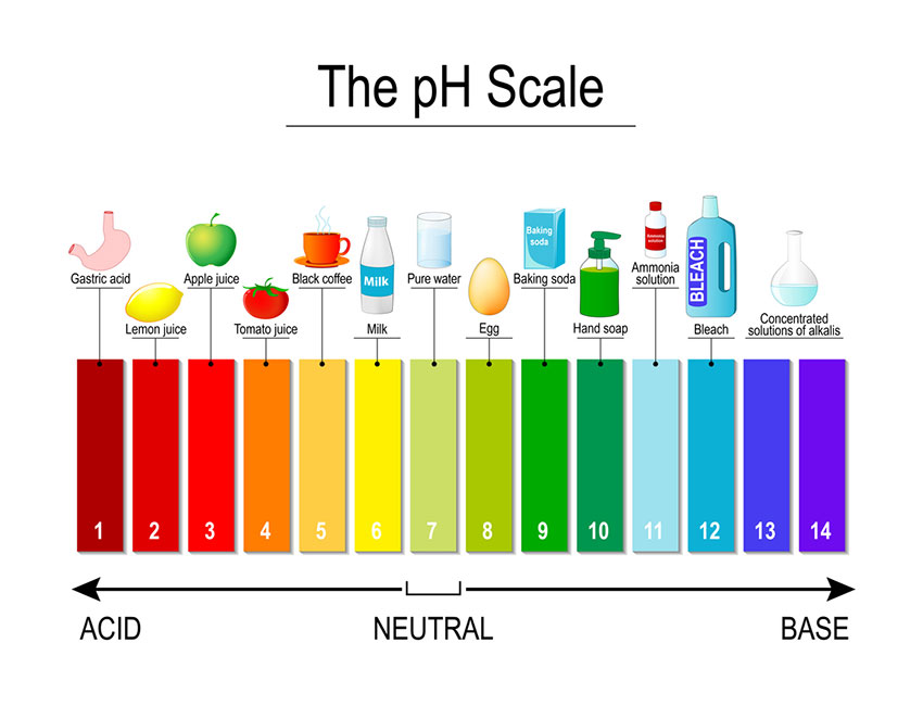 Scala pH - Dieta Alcalina